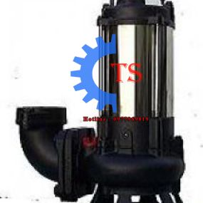 BƠM TRÌM TÁT EVERGUSH 2HP 3FA AP2F