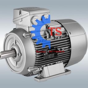 Motor Siemens 3 pha 30kw 40HP điện 3 pha 50 Hz 60 Hz