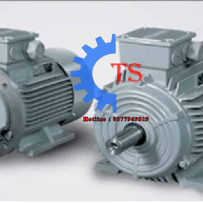 Motor Siemens 75kw 380v 100HP 2 cực 4 cực 6 cực  điện 3 pha