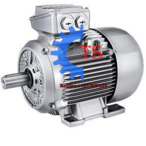 Motor Siemens IE2 38kw 50HP điện 3 pha IP55 class F